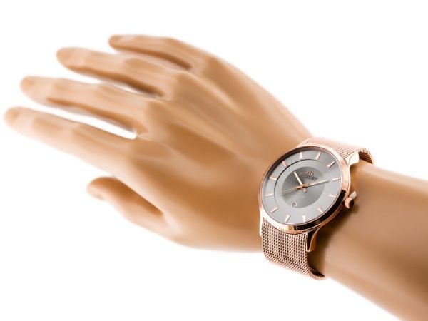 BISSET BSDE47 (zb051e) rose gold/gray - Image 4