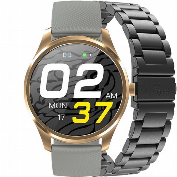 IŠMANUSIS LAIKRODIS G. Rossi SW012-5 gold/gray + papildoma apyrankė (sg007e)