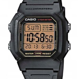 VYRIŠKAS LAIKRODIS CASIO W-800HG-9AVDF CLASSIC + DĖŽUTĖ